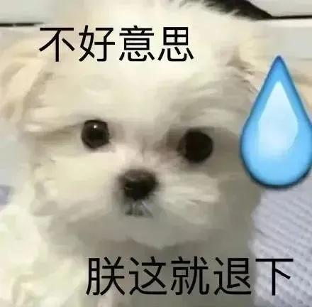 萌宠表情包｜搞笑