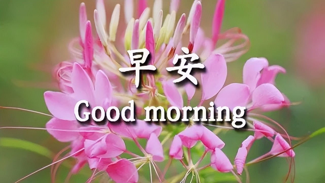 周六新版早上好图片漂亮带字动图，又是快乐早晨，送你健康平安图片