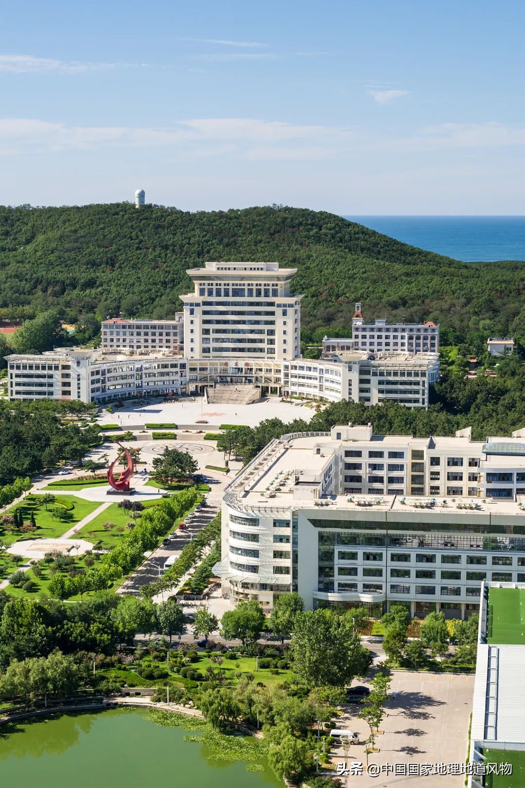 中国第一海鲜大省的这座城，让国人实现顶级生蚝自由