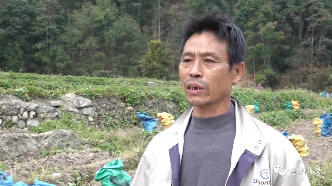 「全面推進(jìn)鄉(xiāng)村振興」連城大洋地村：發(fā)展特色種植 做活林下經(jīng)濟(jì)