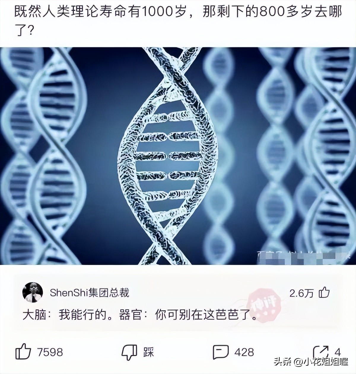 爆笑神回复：当你发现多年的好兄弟是个女的时候，你会怎么办？