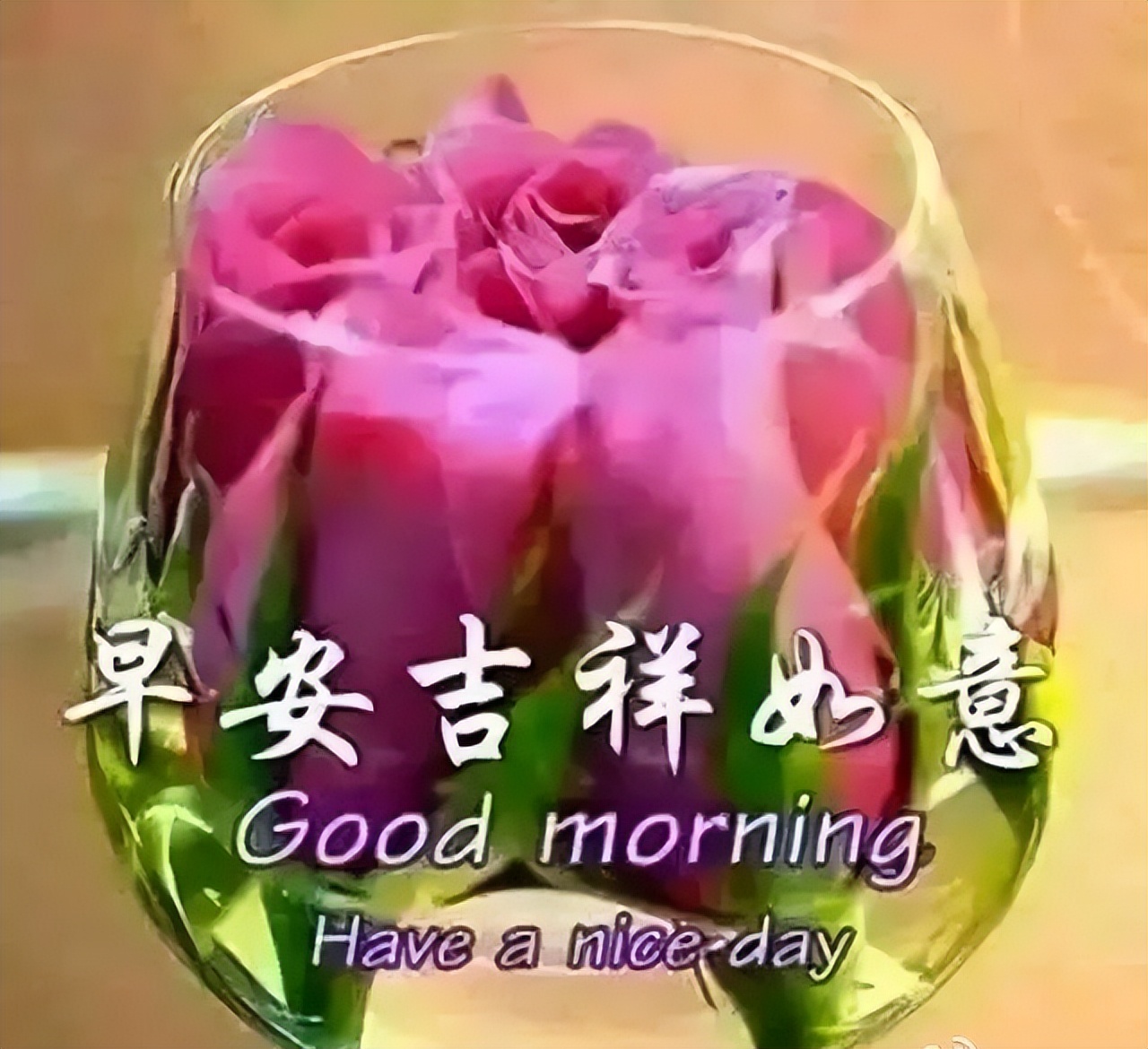 周三早上好表情包更新，吉祥好运带给你，认识你真好，感恩相遇图片