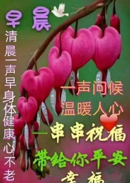 新周早上好祝福美图 周一早上好暖心句子 清晨一声早 身体健康心不老图片