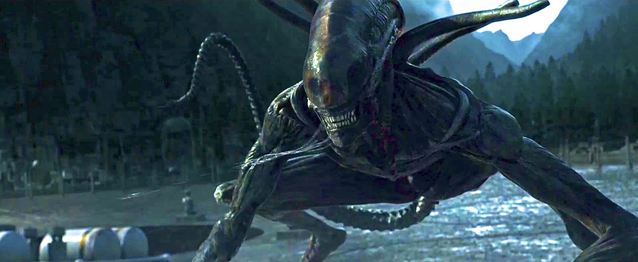 藏得很深,《异形:契约》16个你不知道的细节详解