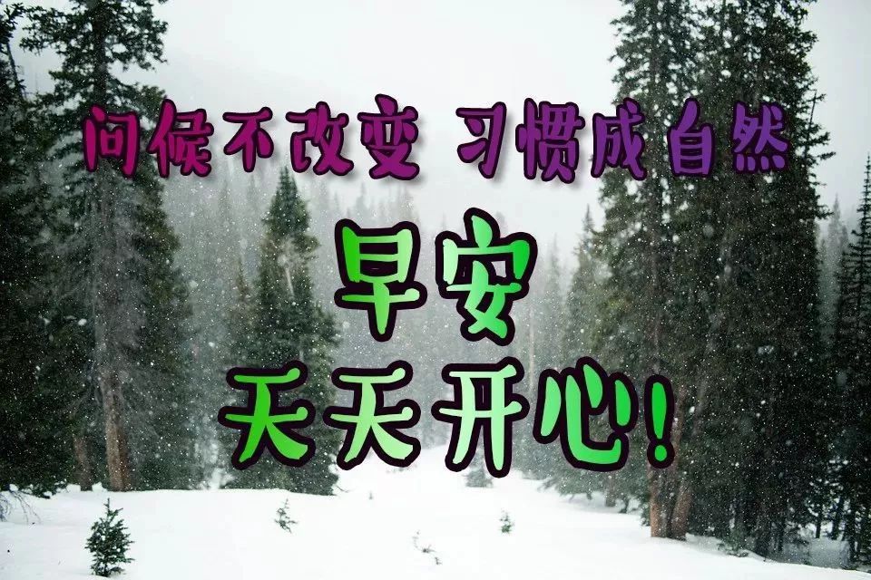 早安问候,感恩相遇,珍惜友情,祝您健康快乐，幸福阳光，如意安康图片