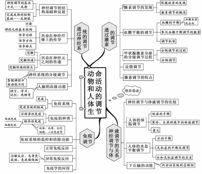 草履虫结构图(初中生物：重要知识点图解，内容清晰明了、简单易懂)