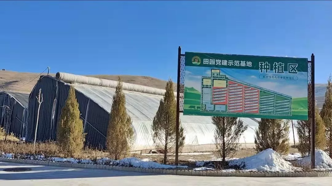【产业发展看临潭】临潭：特色产业开辟高质量发展“新路径”