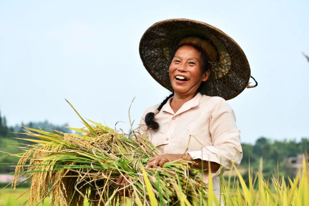 中國農(nóng)民豐收節(jié)物化標識系統(tǒng)怎么設計？請您來支招