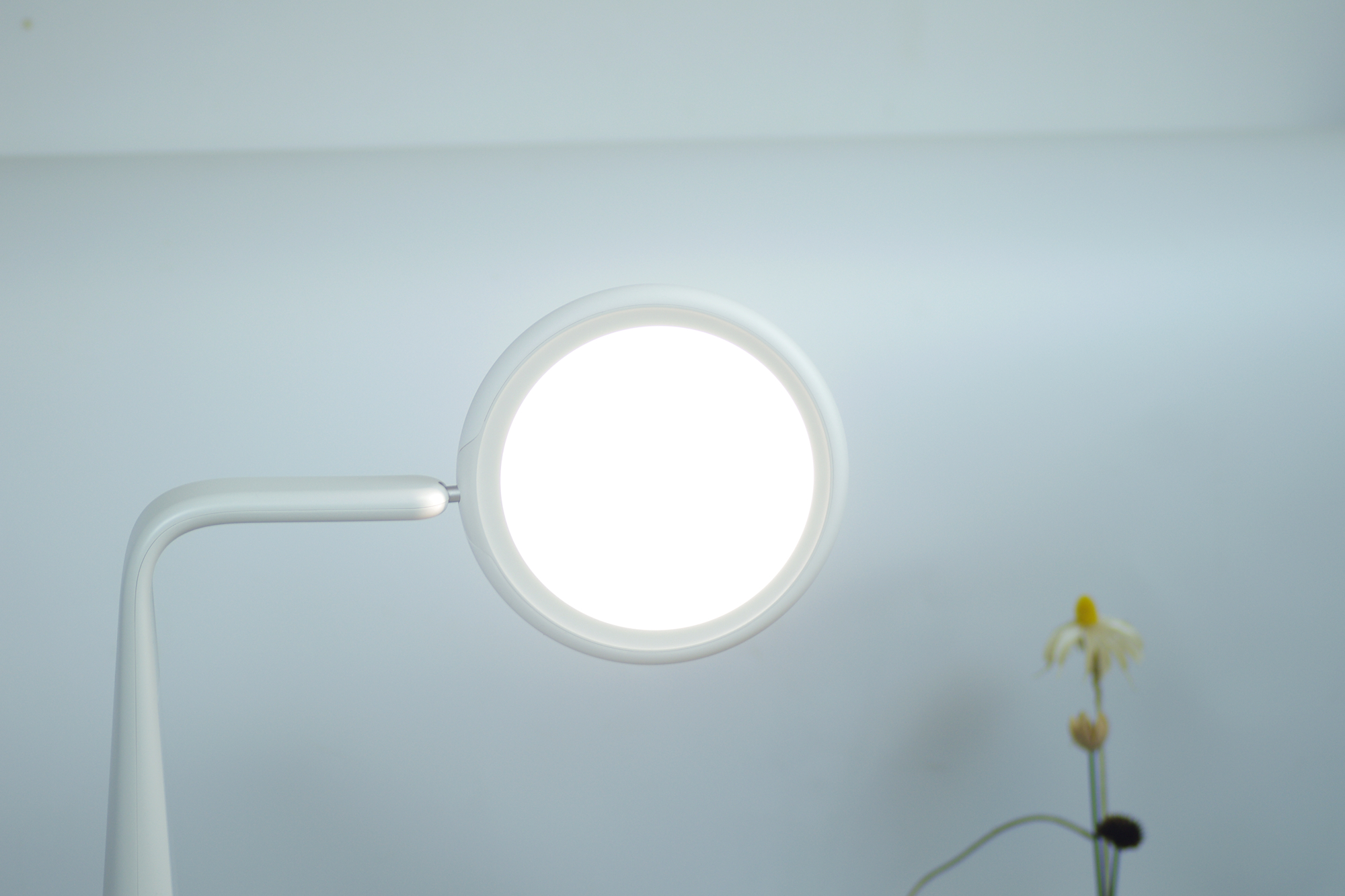 1999元的有道智能学习灯值得入手吗？真实体验分享