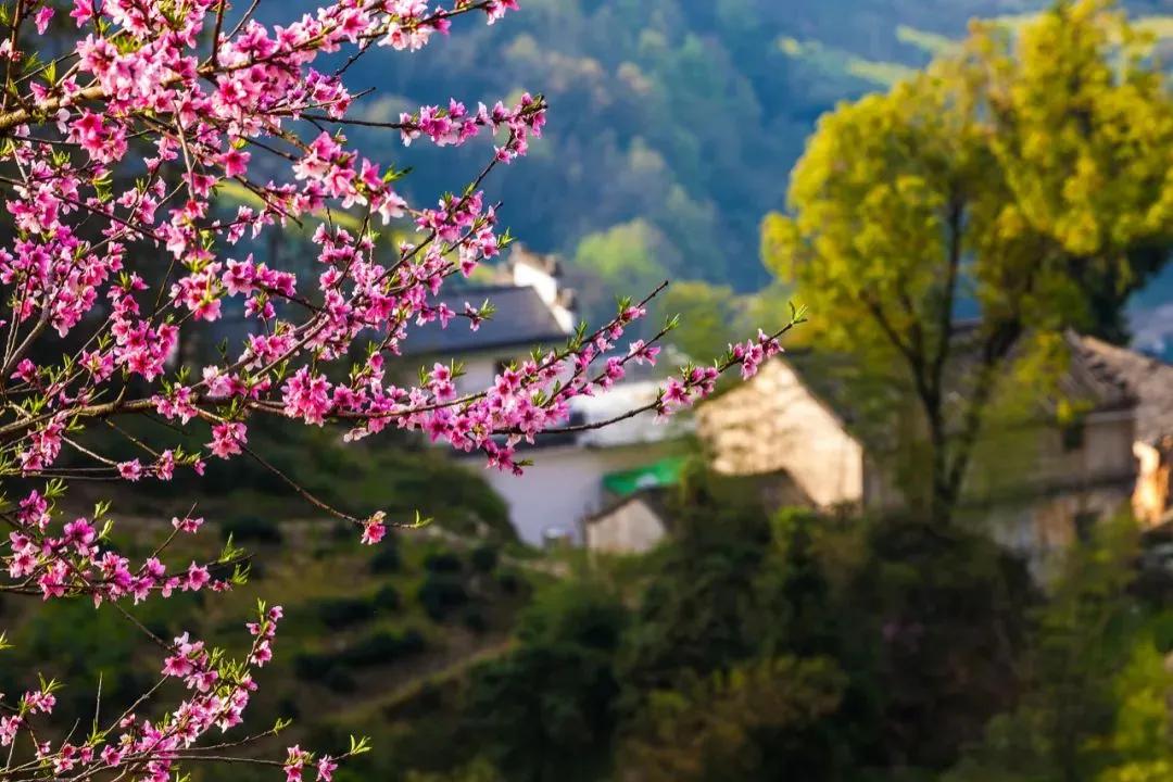 子曰：“其身正，不令而行；其身不正，虽令不从。”