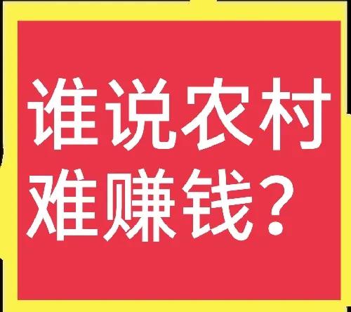 谁说农村钱难赚？这五个农村实体店项目就很赚钱，值得推荐