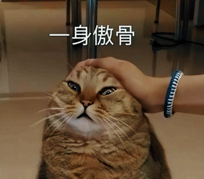 一顿饭4位数，第一次见面就给女方买千元包：现在相亲这么贵了？