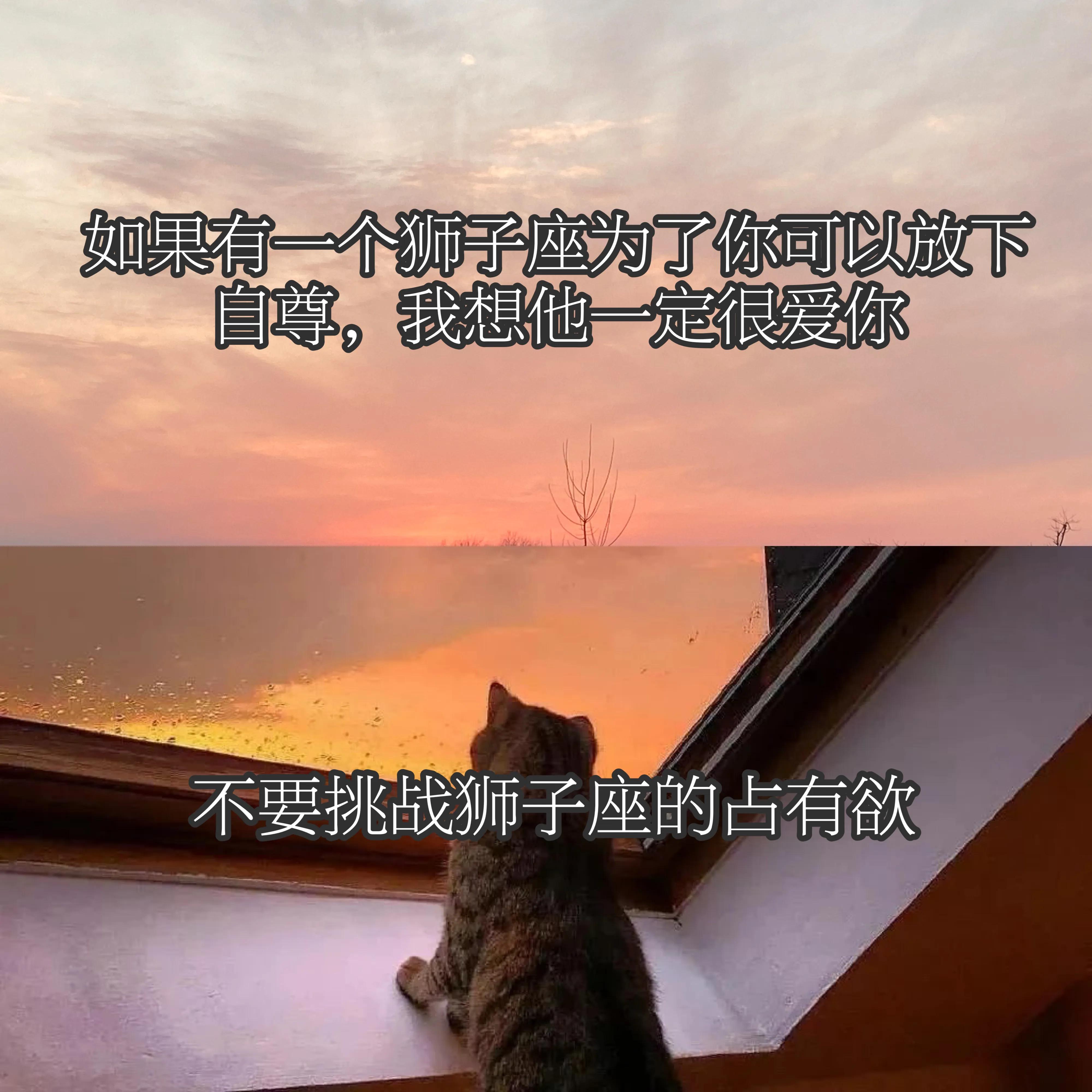 今日份 狮子座♌文案