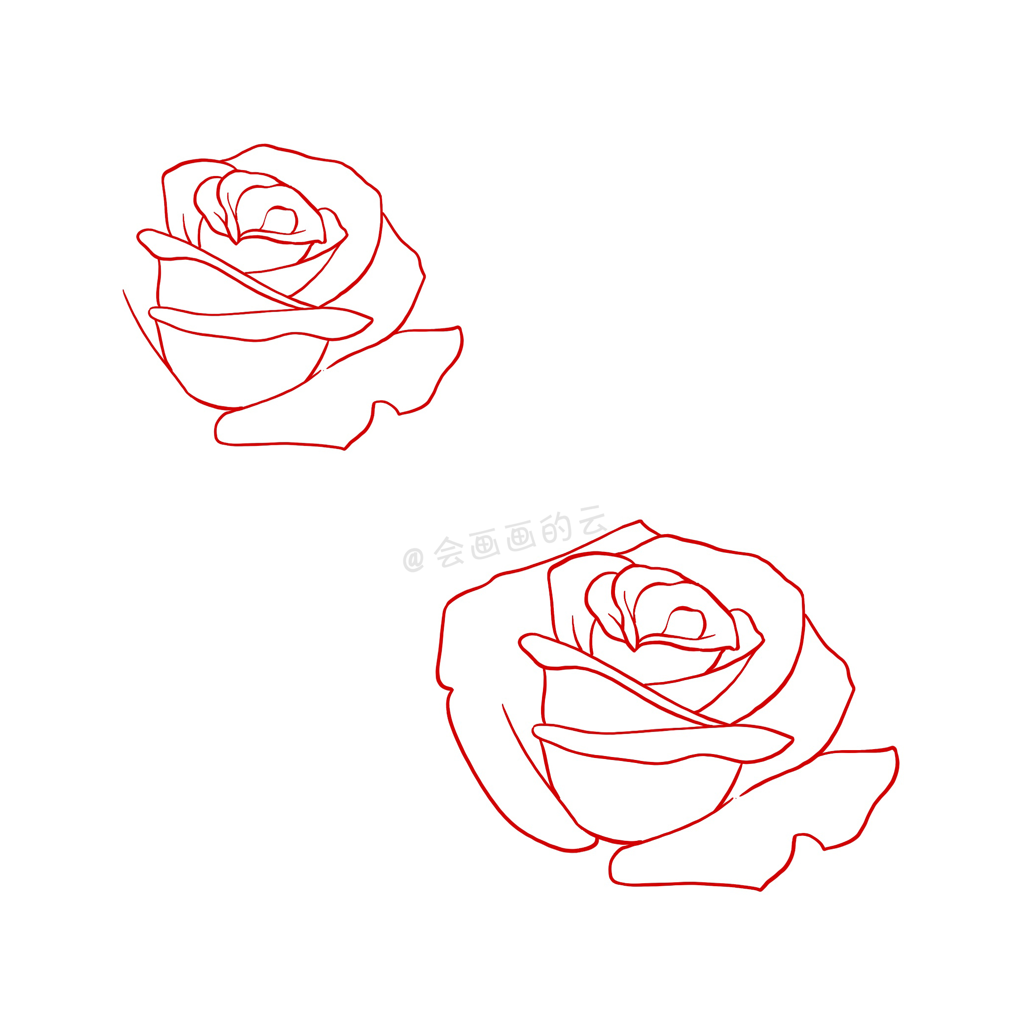 画玫瑰花的简笔画（超简单玫瑰花简笔画教程分享）