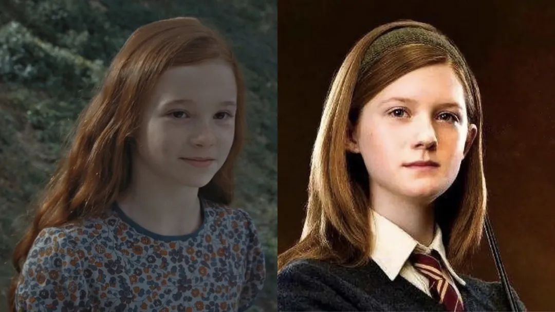 《哈利·波特》主要人物MBTI分析