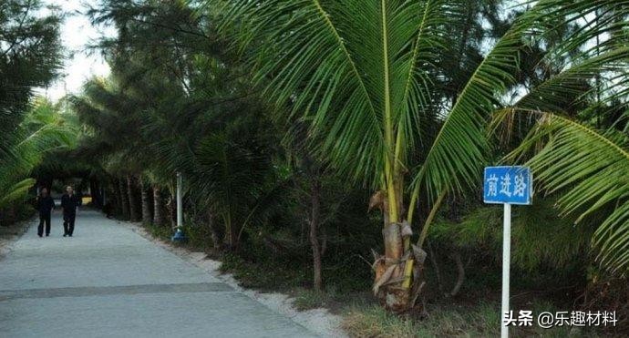 ���������ƶ�������������ɳ衺����������������5000�ּ�����