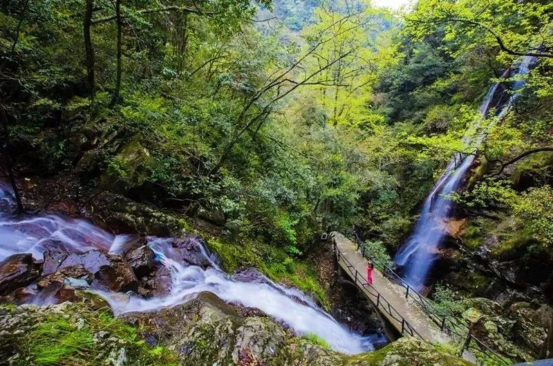 2022,一起领略黄山迤逦风光!