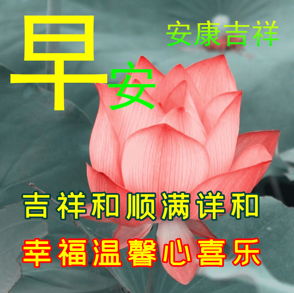 「2022.05.19」早安心语，正能量简单语录句子，治愈励志文案短句