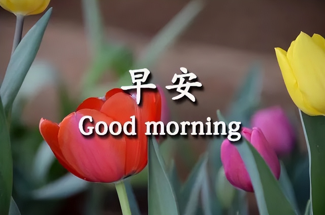 朋友圈早上好祝福动态表情图片大全，珍惜每一日，享受每一日图片