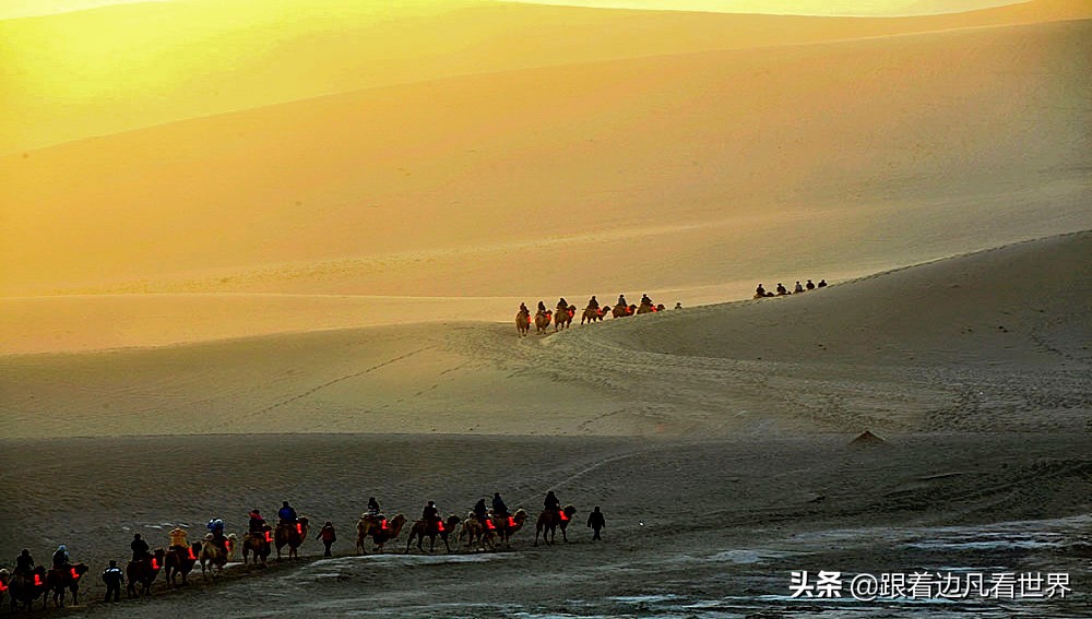 《甘肃行》大漠深处，悠悠驼铃声