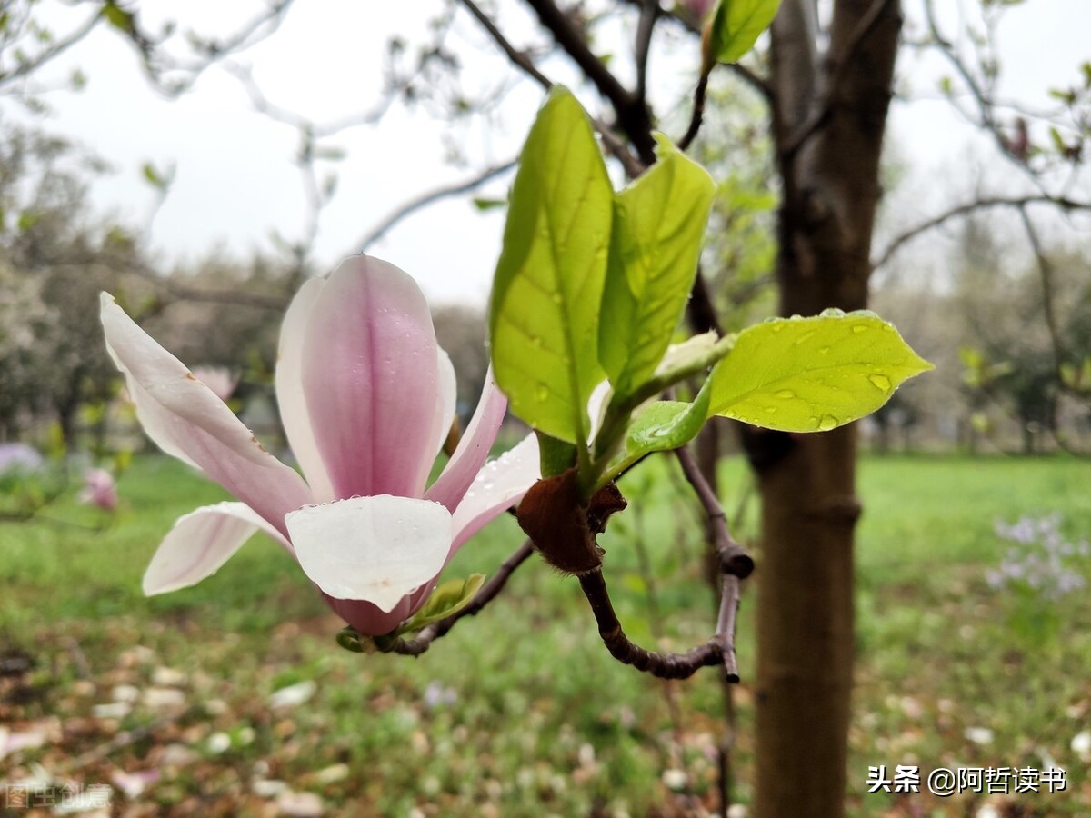 春和景明，文明永远是最美的风景