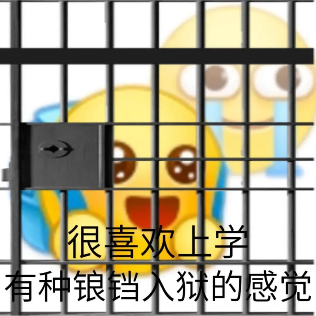 表情包｜我把话撂这儿了