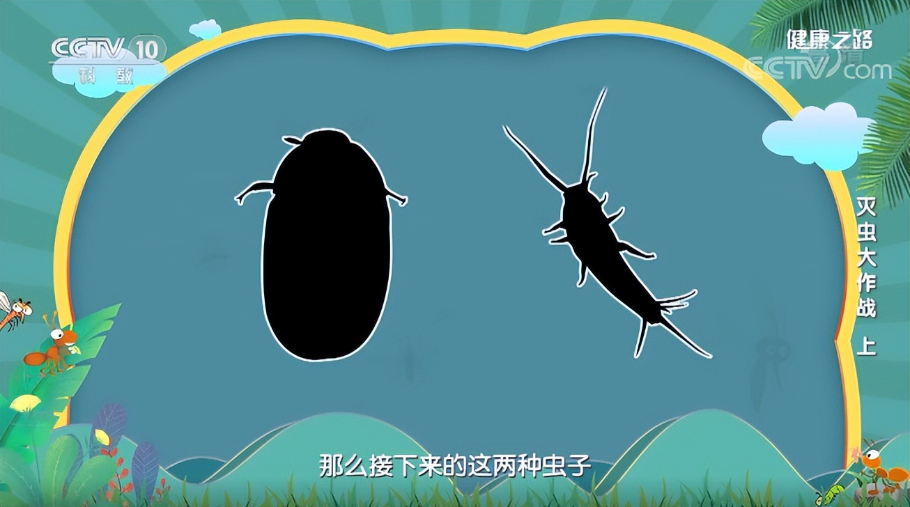 蚊子最愛叮什么血型的人，你知道嗎？