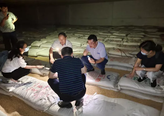 网络审计,网络审计系统