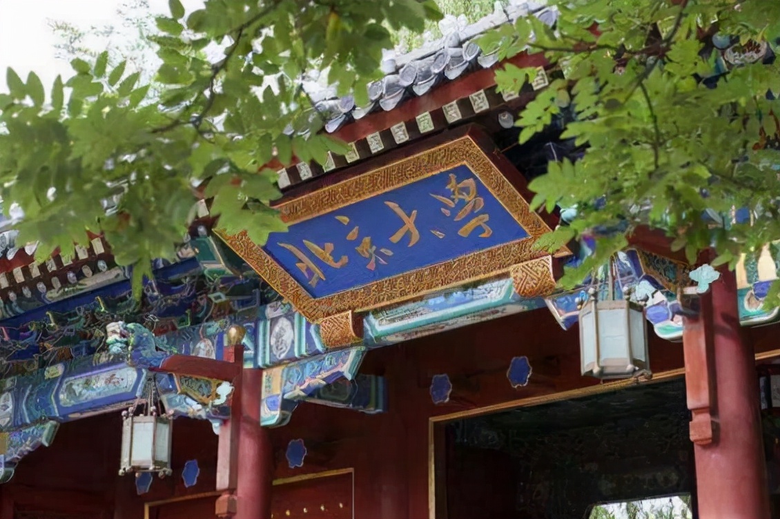 北大“独苗”专业，所有教授只教一名学生，竟体验到了VIP的感觉