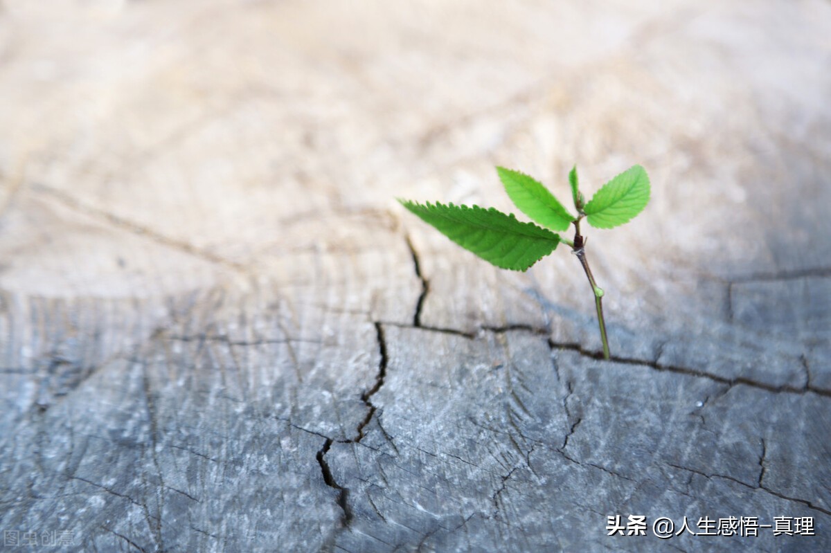 回首人生，人生很短，日子就像岁月