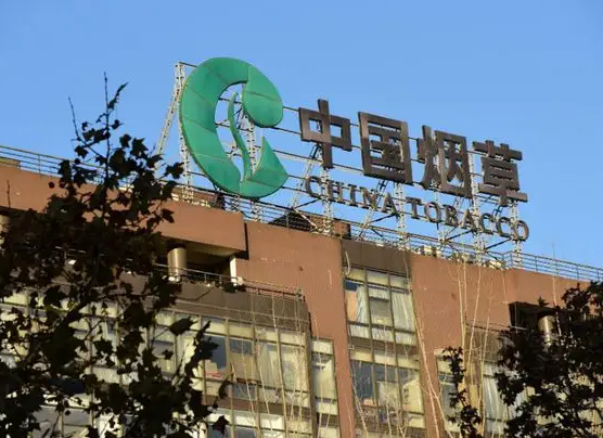 停工却不影响收入，这几个职业“真香”了，原来学历这么重要