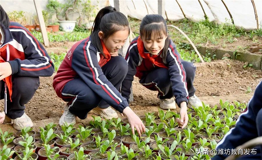 周播报 | 潍坊校园新闻（03.07—03.13）