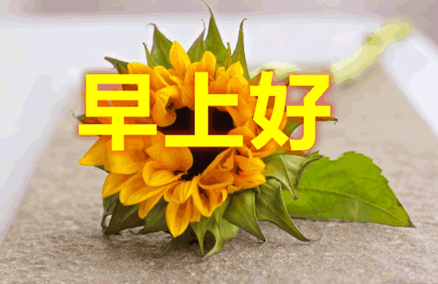 ​微信早上好图片表情祝福 新版早安问候语阳光正能量句子图片
