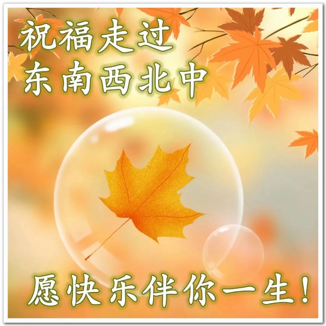 非常漂亮好看的早上好动态美图鲜花带字
