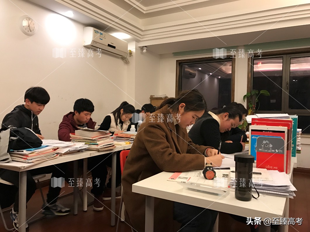 艺考文化课培训哪里好：至臻高考复读学校
