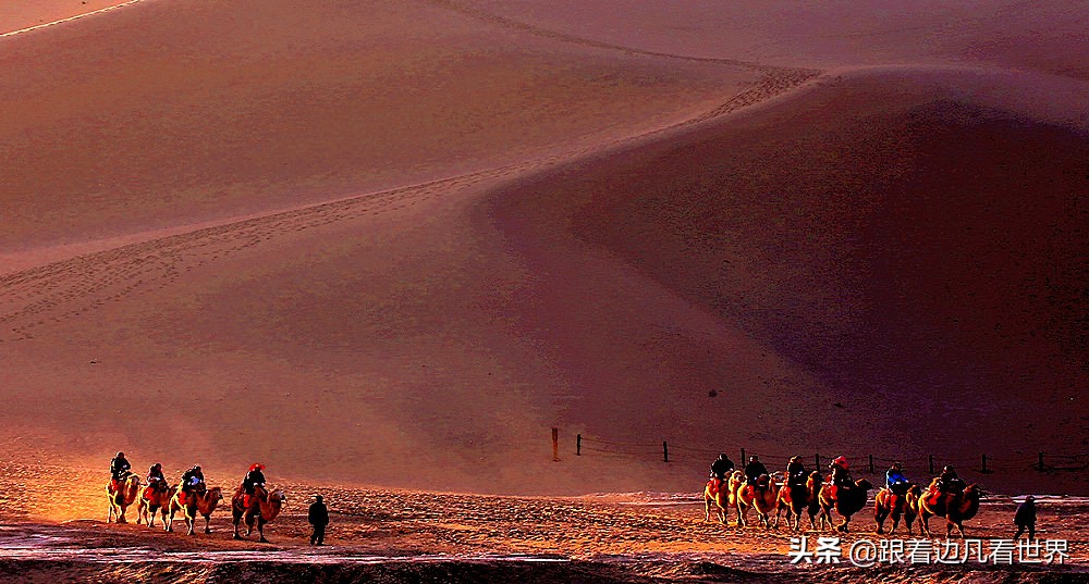 《甘肃行》大漠深处，悠悠驼铃声