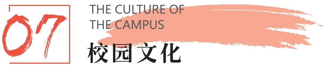 四川文化艺术学院2022年招生宣传册