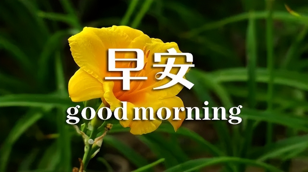 2022春天最新早上好问候早安祝福图片温馨带字 微笑不要钱却很值钱图片