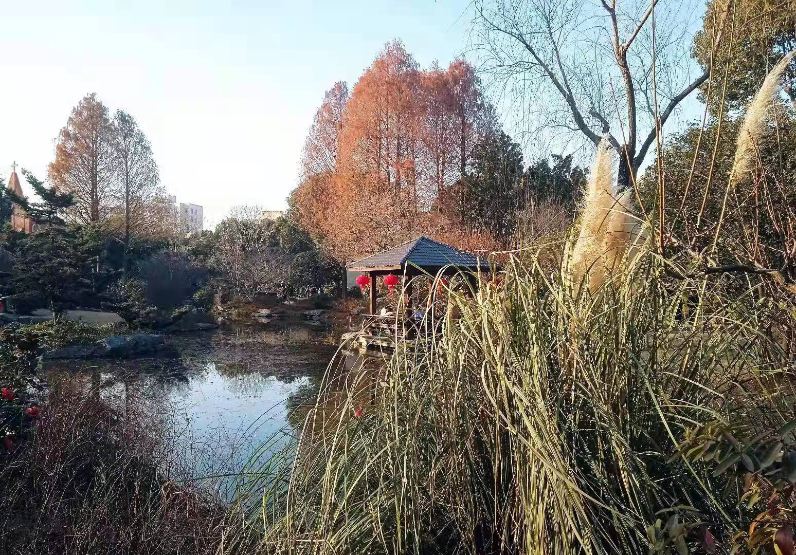 左扬钊手机掠影——新年公园览景 作者/铁一师 左扬钊