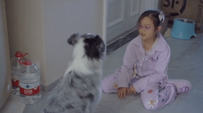 李小璐晒女儿假期生活，甜馨与宠物狗一起卖萌，上小学已经近视