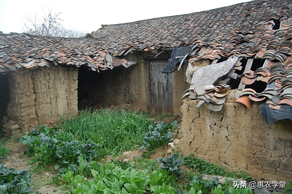 新农村建设征地补偿,新农村建设征地补偿标准