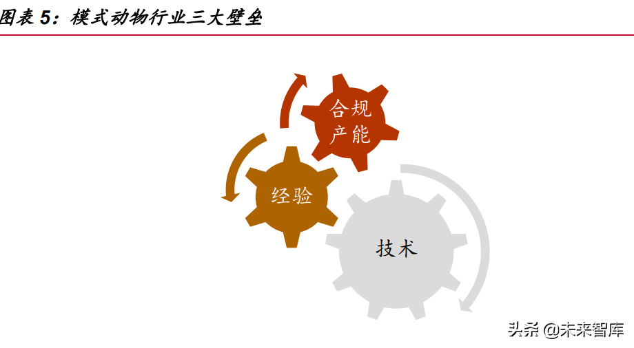 医药行业深度报告：医药研发热情高涨，模式小鼠方兴未艾