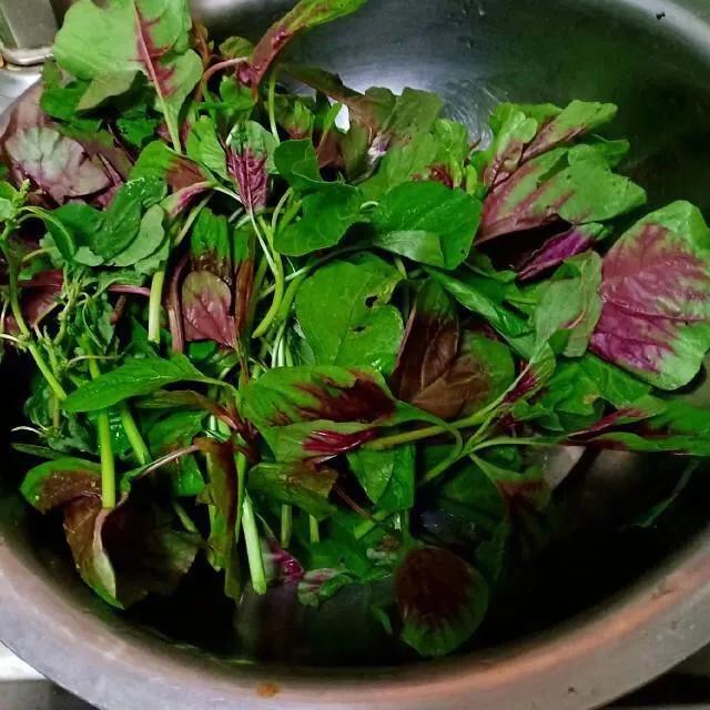 这“3菜2果”天然叶酸高！中老年人春天要多吃，顺应节气吃出健康