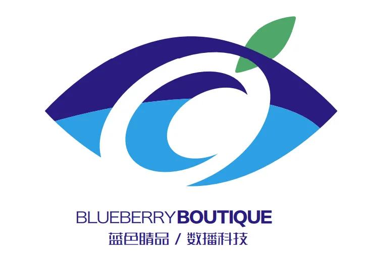 野生蓝莓系列产品营销方案（一）