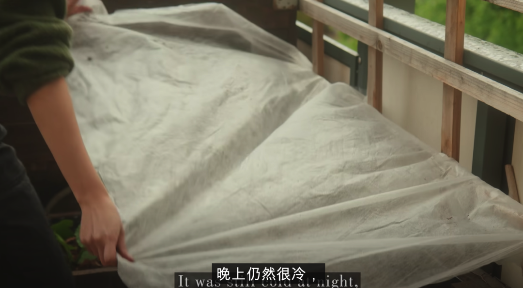 二胎妈妈改造8㎡阳台种20多种蔬菜，看了这个，我疫情还要抢菜？