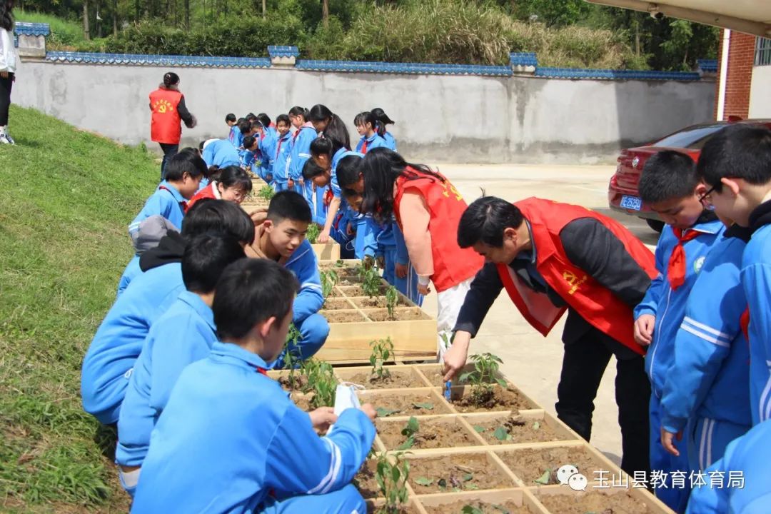 玉山县仙岩小学深入推进劳动教育实践活动纪实