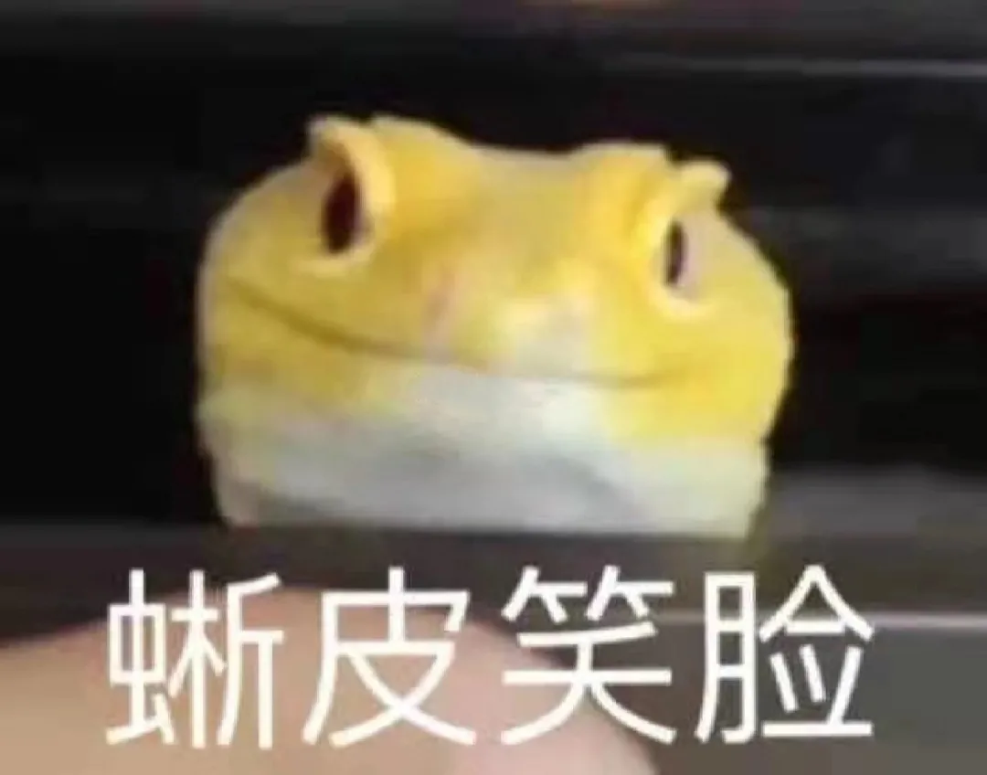 拿到ACCD、SVA、纽大、CCA，我的申请季结束了