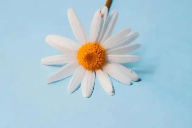 如何找一家靠谱的代理公司