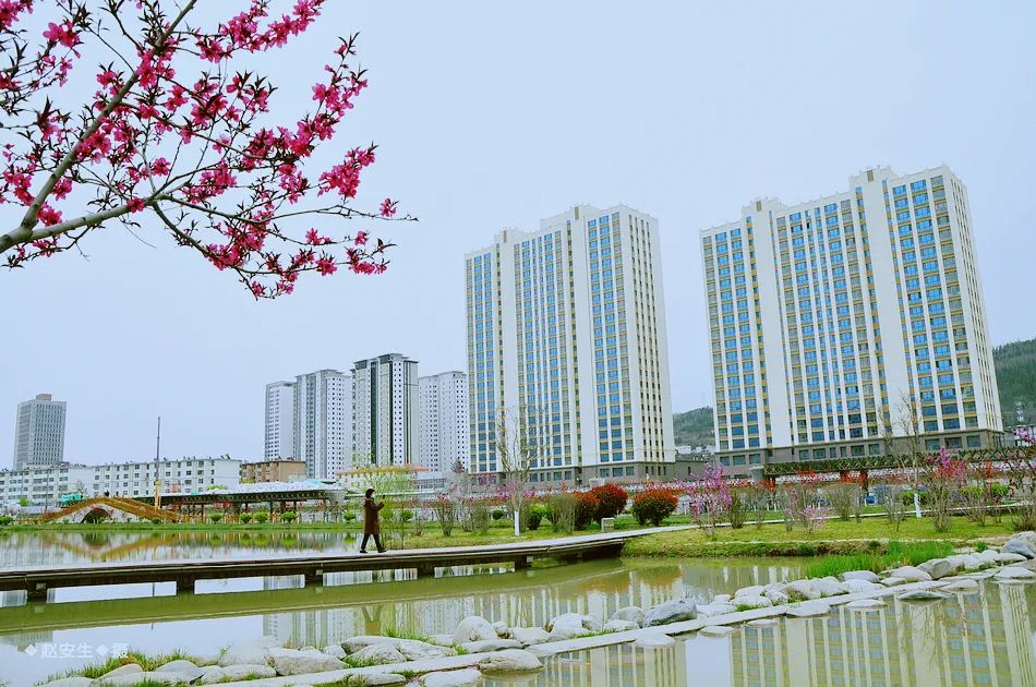 疫情挡不住春天的脚步，小编带你去看古城秦州的春暖花开