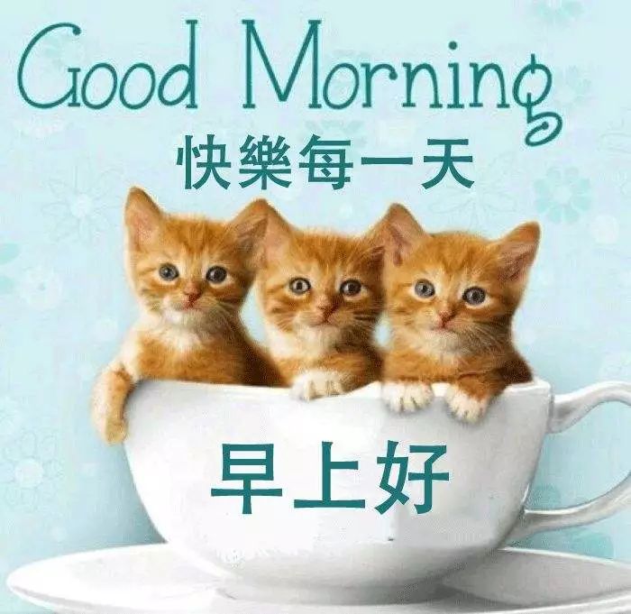 微信周日早上好的漂亮表情动态表情大全 别让等待的心等到无望图片